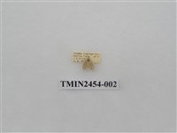 藏品(小灰苔蛾)的圖片